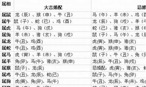 生肖鸡和生肖蛇合不合-生肖鸡和生肖蛇合不合